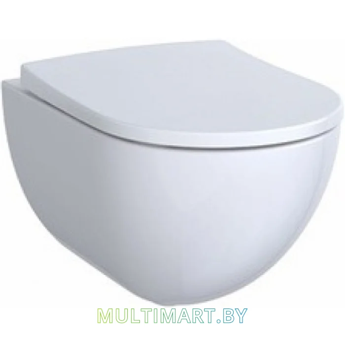 Унитаз Geberit Acanto 500600012